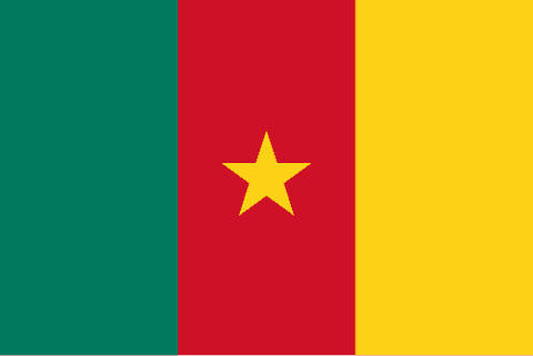 Flag: Cameroon