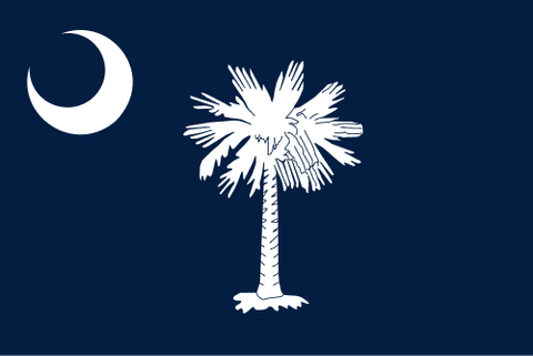 Flag: South Carolina (United States)