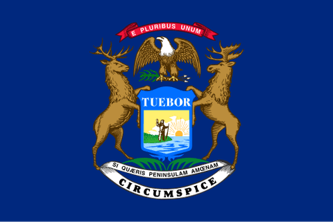 Flag: Michigan (United States)