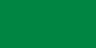 Flag: Gaddafi's Libya