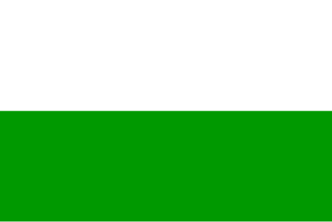Flag: Kingdom of Saxony