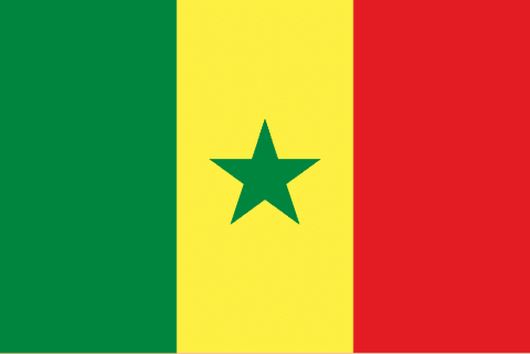 Flag: Senegal